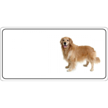 Golden Retriever Dog Photo License Plate 